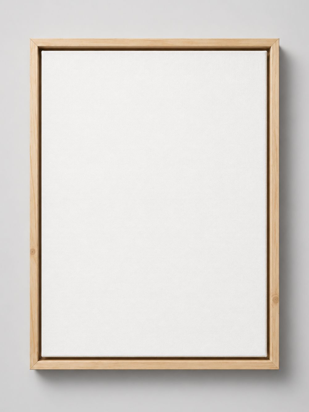 Artist Grade 380 GSM Canvas with Floating Frame